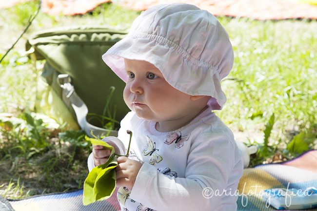 alice con foglia