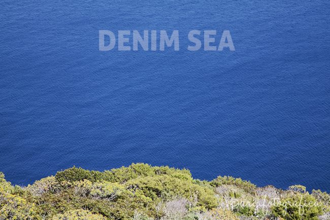 denimsea