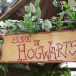 Frasta Aziendale con Harry Potter