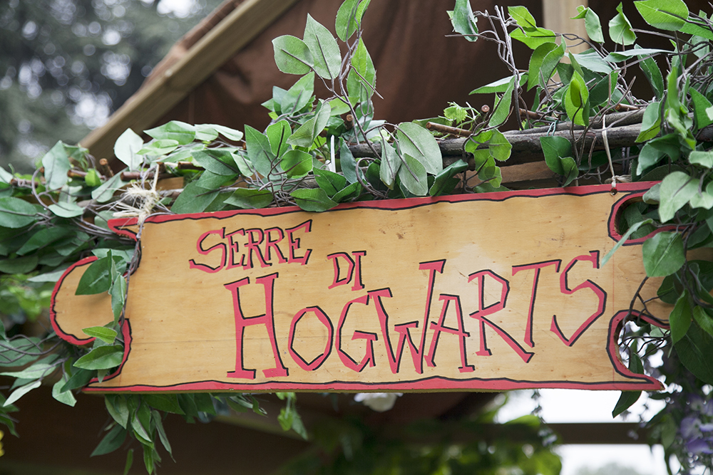 Frasta Aziendale con Harry Potter