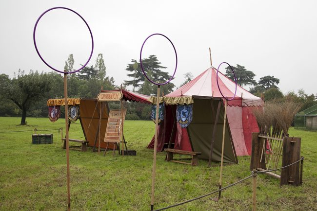 Frasta Aziendale con Harry Potter