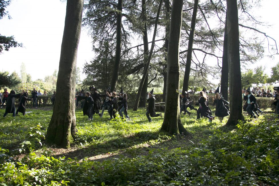 Frasta Aziendale con Harry Potter